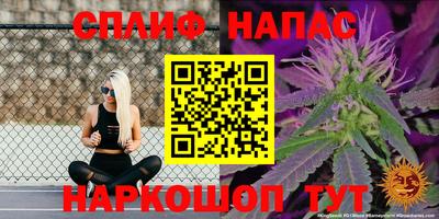 индика Северобайкальск