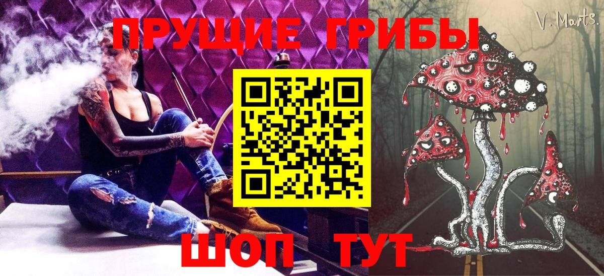 где купить наркоту  Вход с VPN  Отрадное  Галлюциногенные грибы GOLDEN TEACHER  Галлюциногенные грибы мицелий 